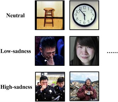 The Effects of Low and High Levels of Sadness on Scope of Attention: An ERP Study